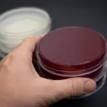 Weiterbildung zum/zur Hygienebeauftragten in der Hauswirtschaft ONLINE (Dr. Dieter Bödeker)